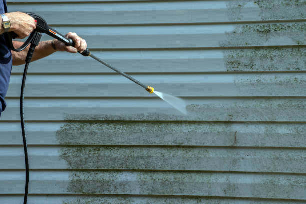 Best Driveway Pressure Washing  in Hilltop, MN